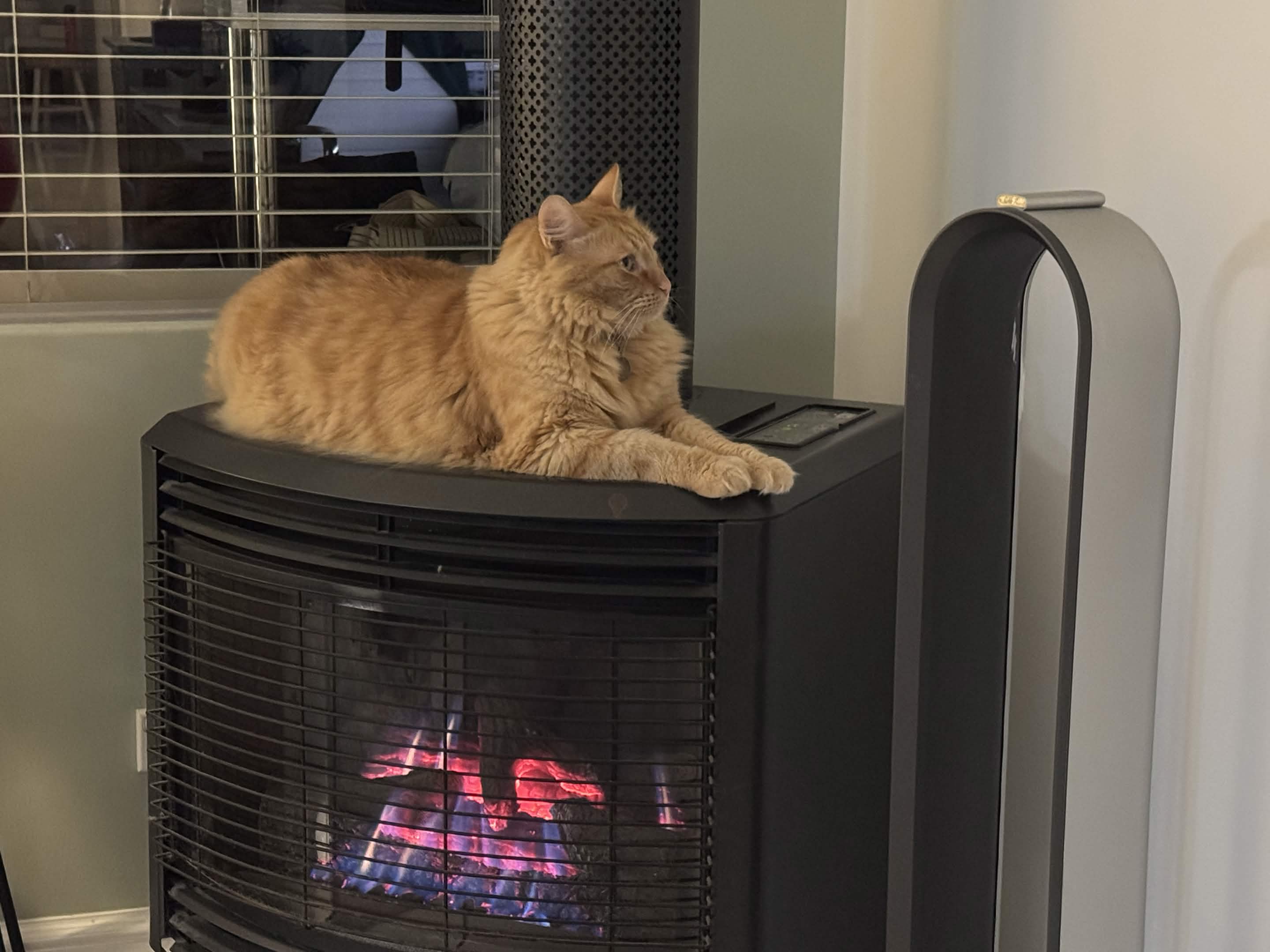 a cat sitting on top of a heater